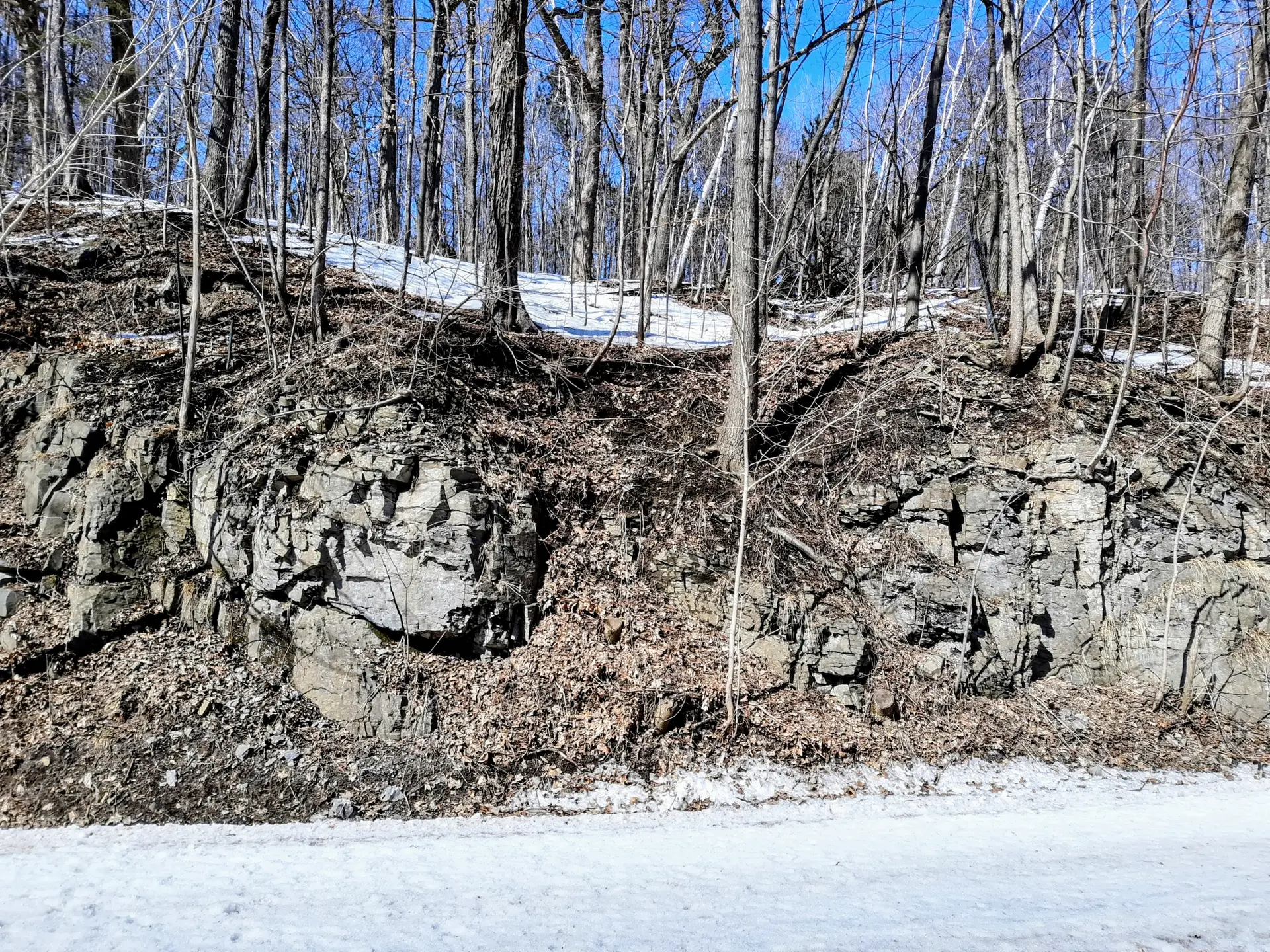 Falaise du Mont-Royal — emplacements propices à la plantation de Poussbouls